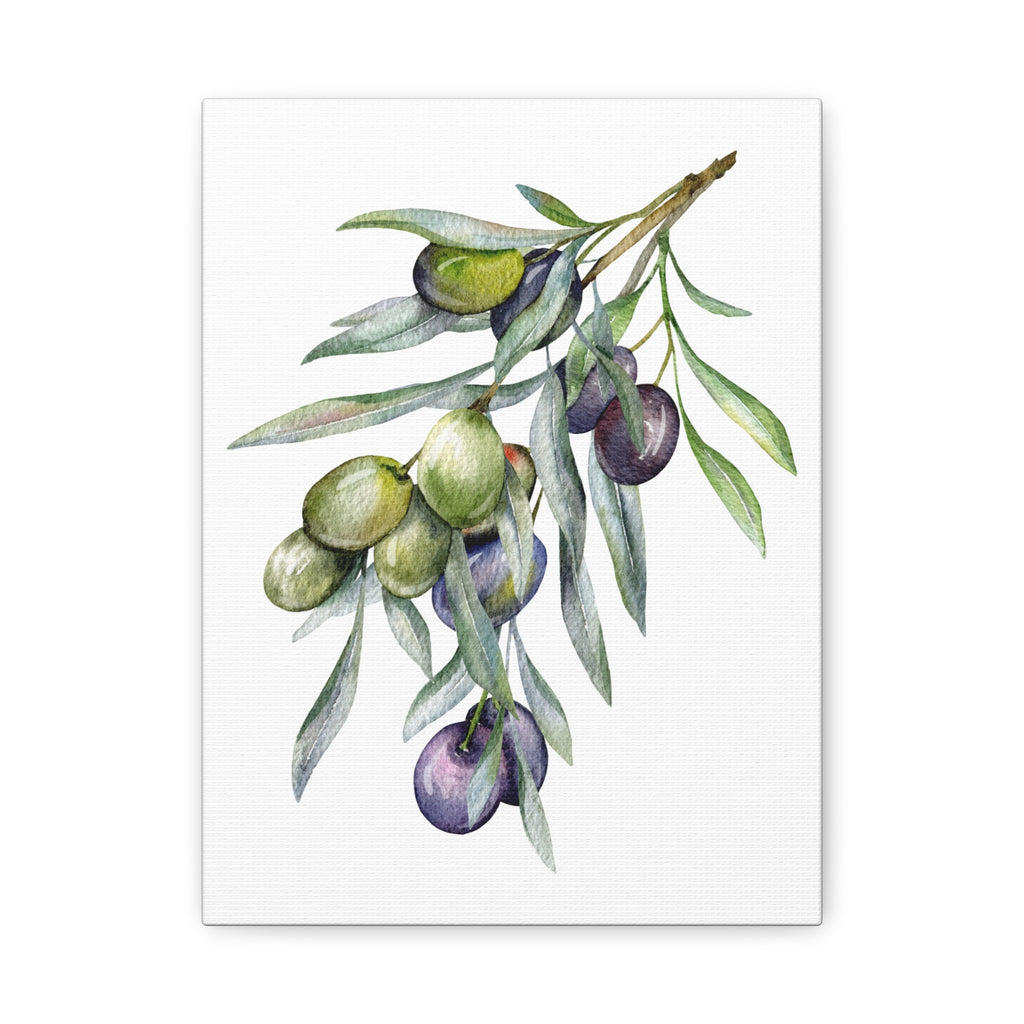 Olive Branch Watercolor Canvas Wall Art — Matte Stretched Canvas