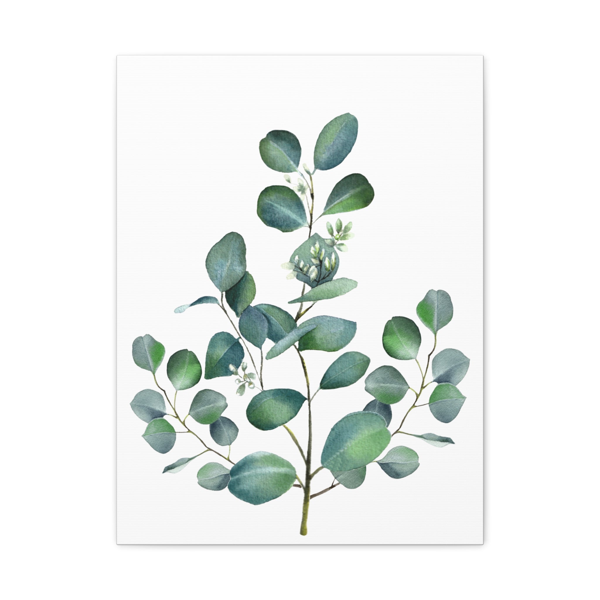 Eucalyptus Watercolor Canvas Print — Stretched Matte Wall Art