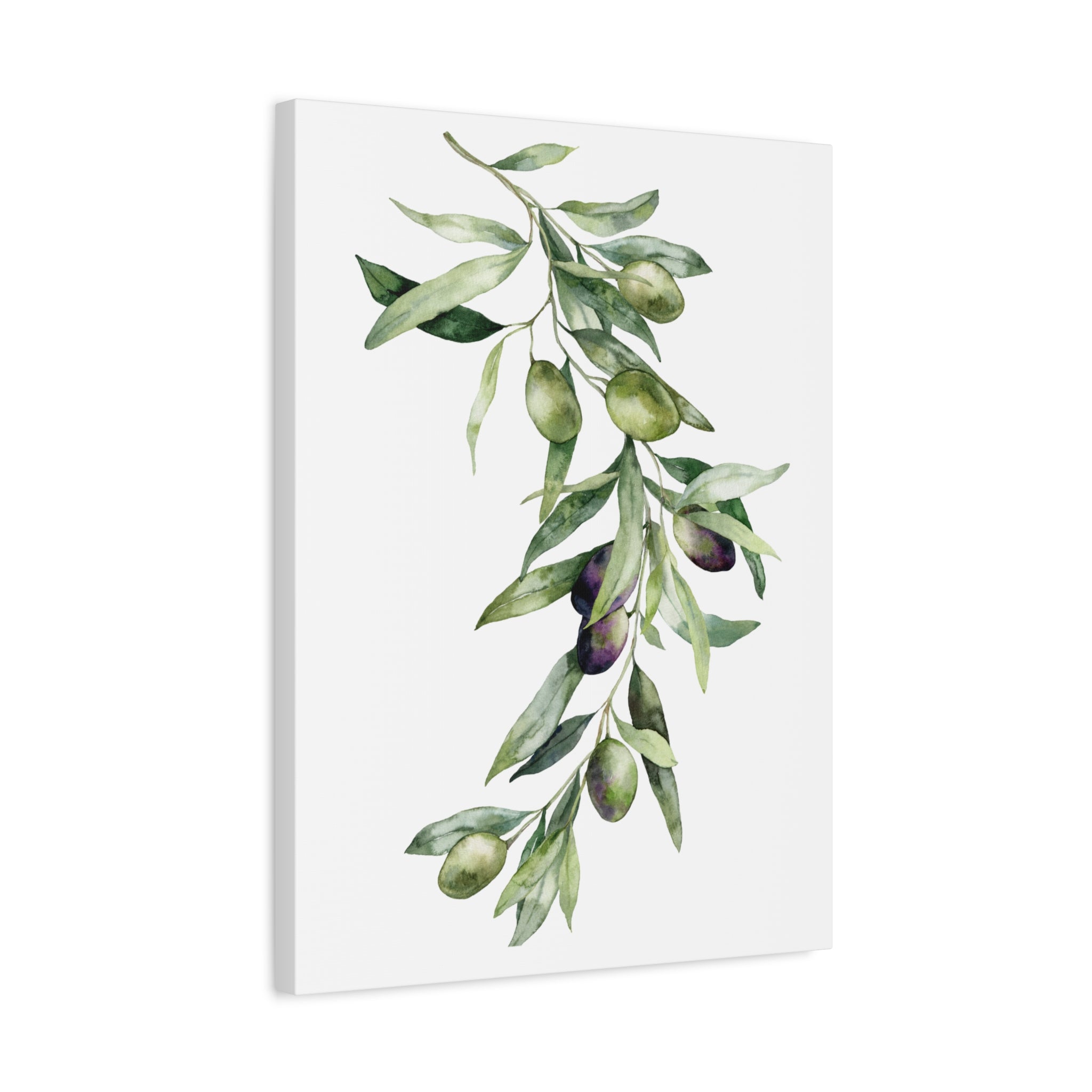 Olive Branch Canvas Wall Art — Matte Stretched Canvas