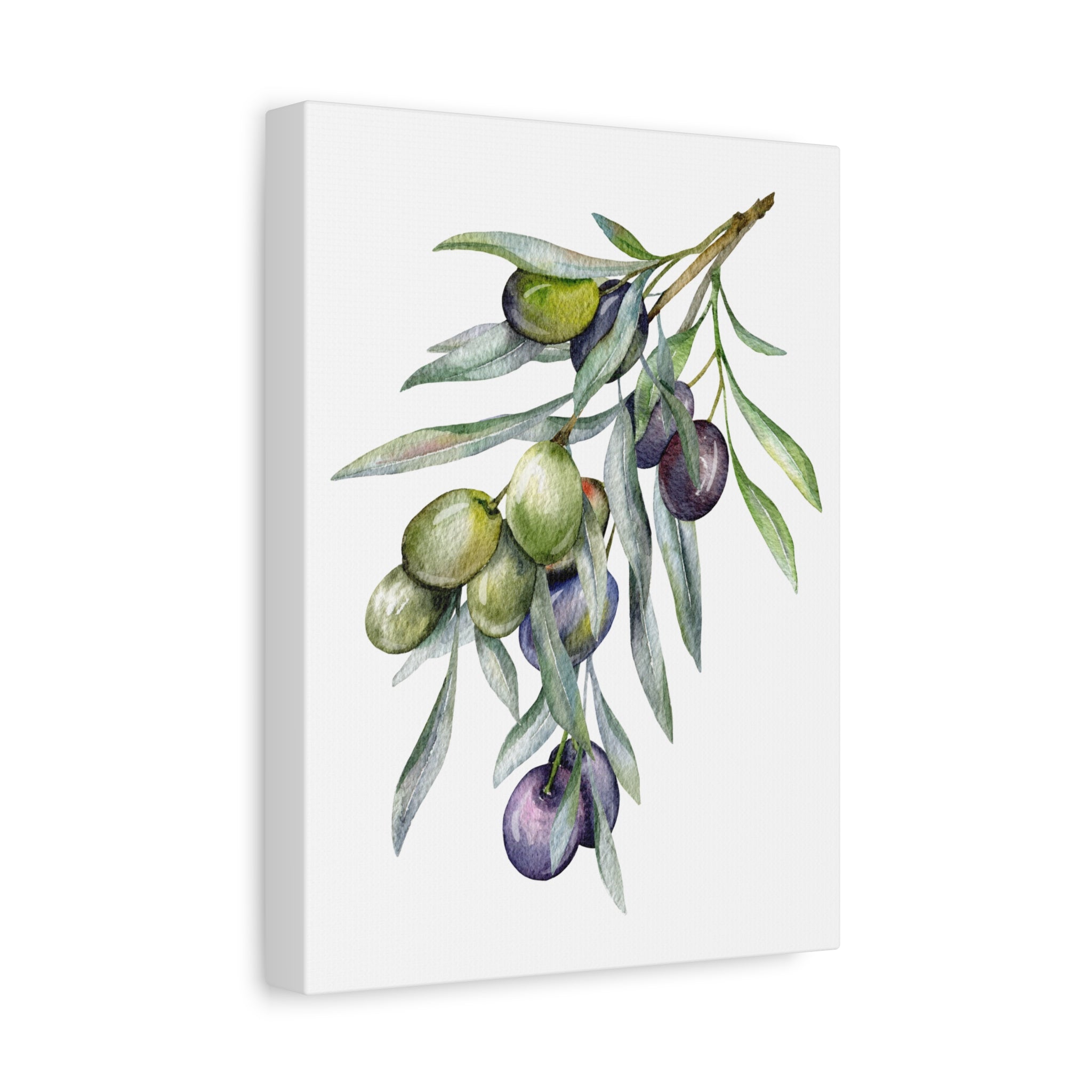 Olive Branch Watercolor Canvas Wall Art — Matte Stretched Canvas