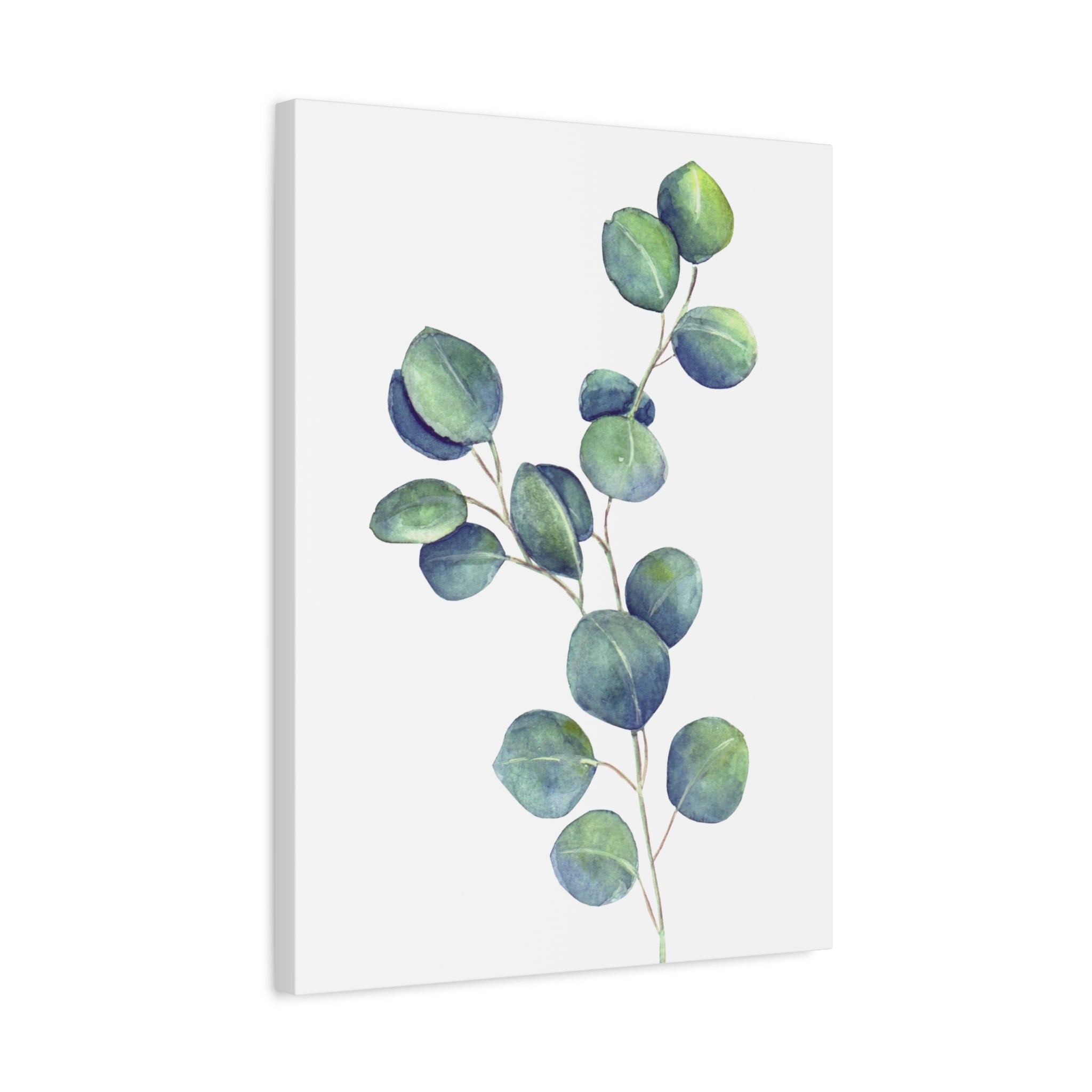 Eucalyptus Watercolor Canvas Print — Stretched Matte Wall Art