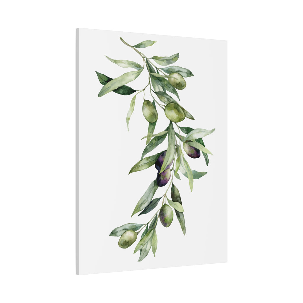 Olive Branch Canvas Wall Art — Matte Stretched Canvas