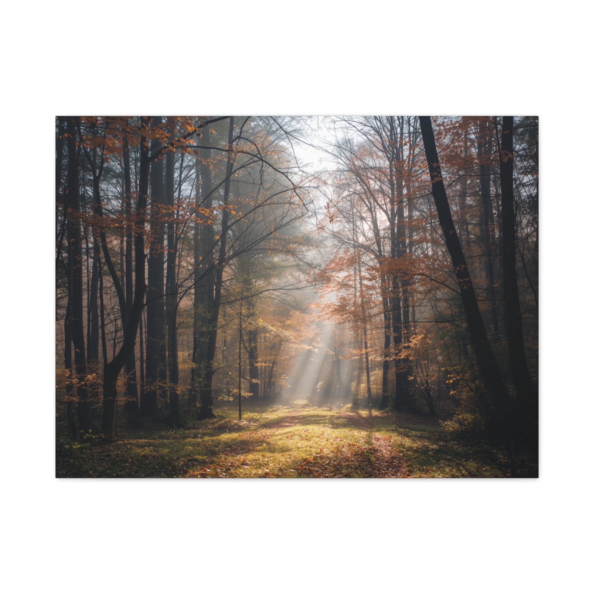 Autumn Forest Canvas Wall Art — Matte Stretched