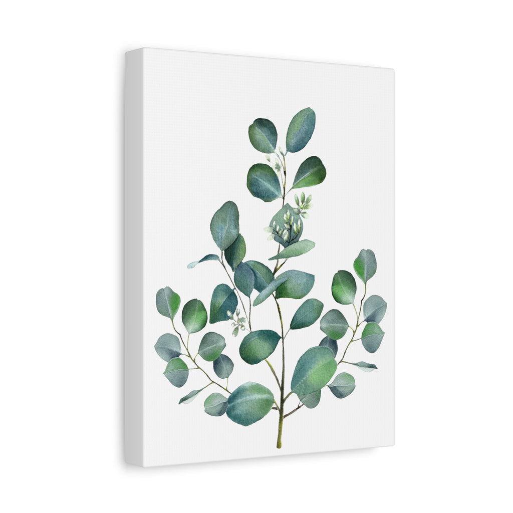 Eucalyptus Watercolor Canvas Print — Stretched Matte Wall Art