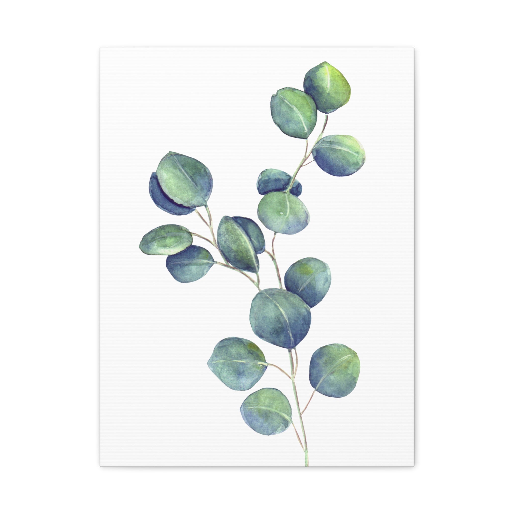 Eucalyptus Watercolor Canvas Print — Stretched Matte Wall Art