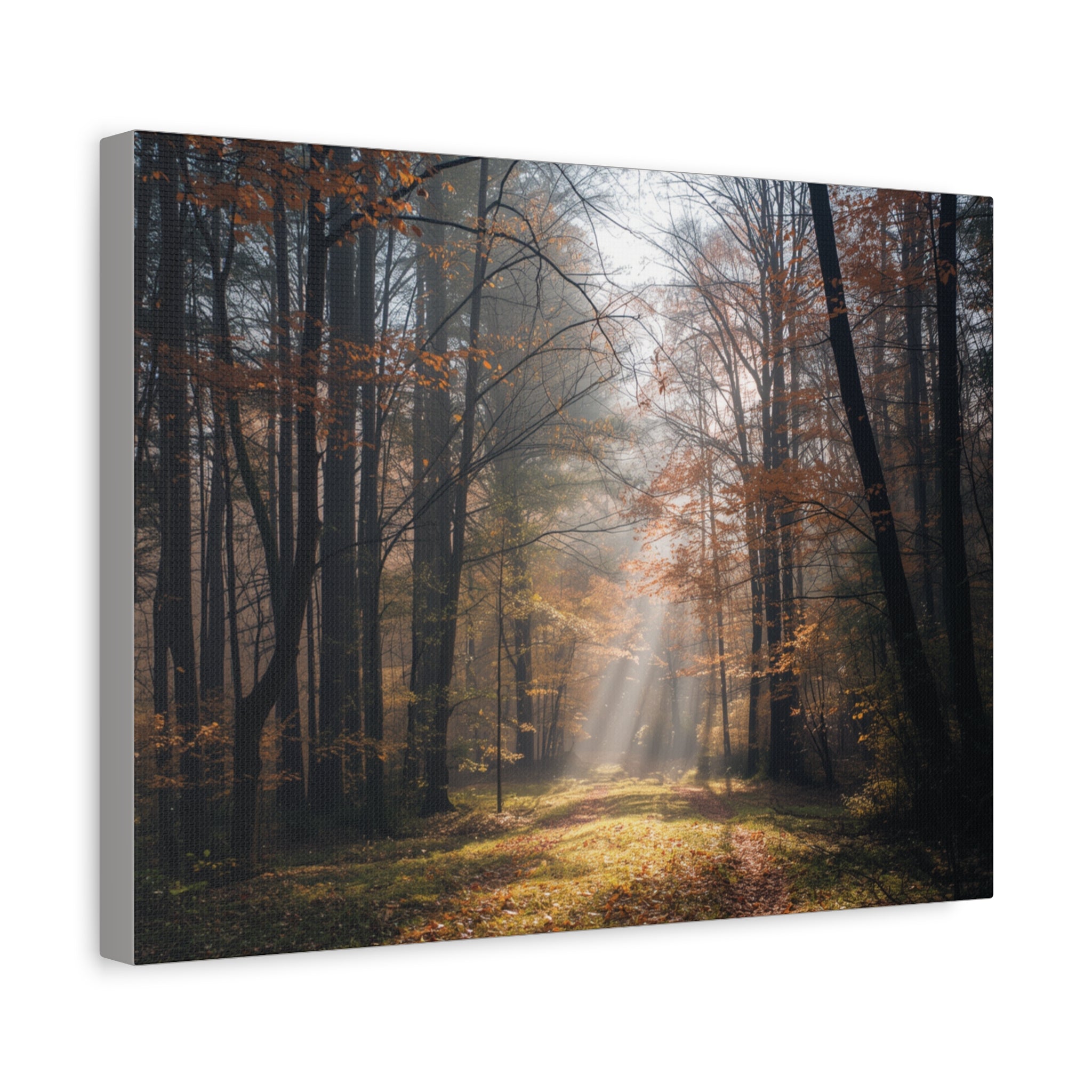 Autumn Forest Canvas Wall Art — Matte Stretched