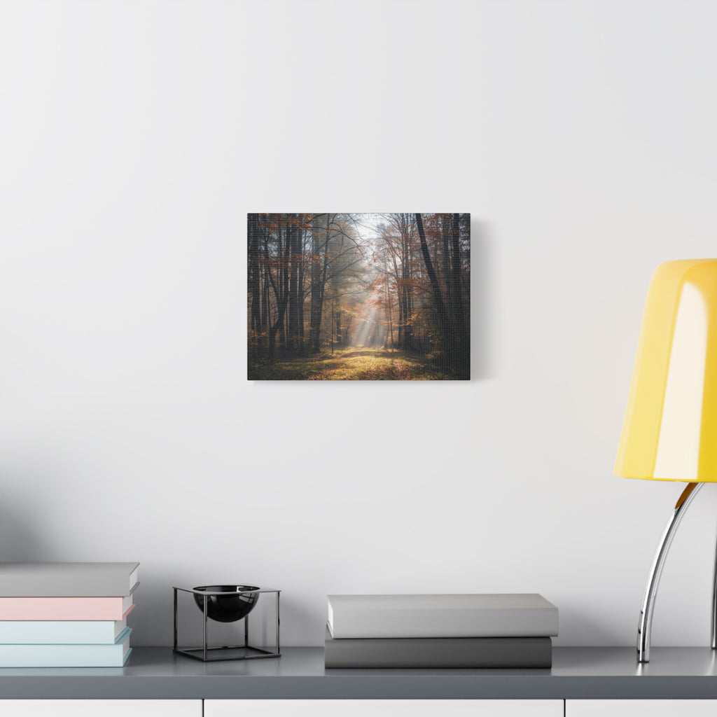 Autumn Forest Canvas Wall Art — Matte Stretched