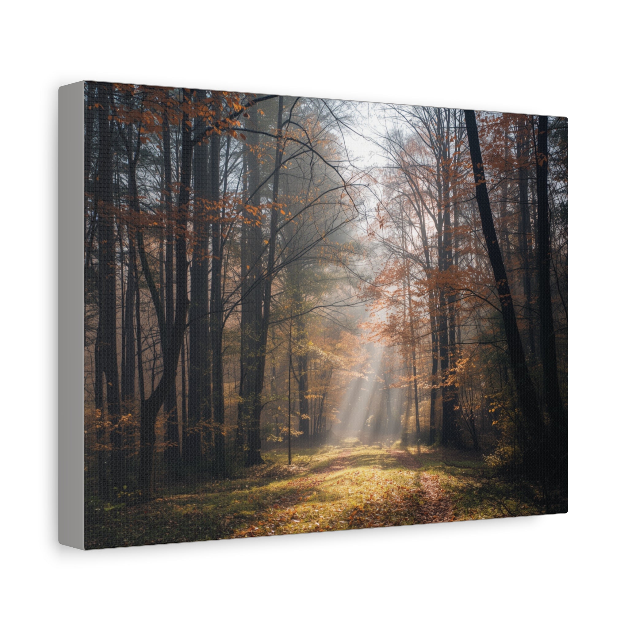 Autumn Forest Canvas Wall Art — Matte Stretched