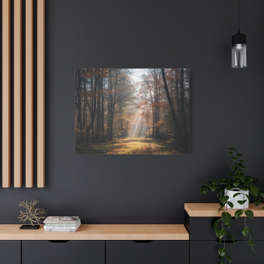 Autumn Forest Canvas Wall Art — Matte Stretched