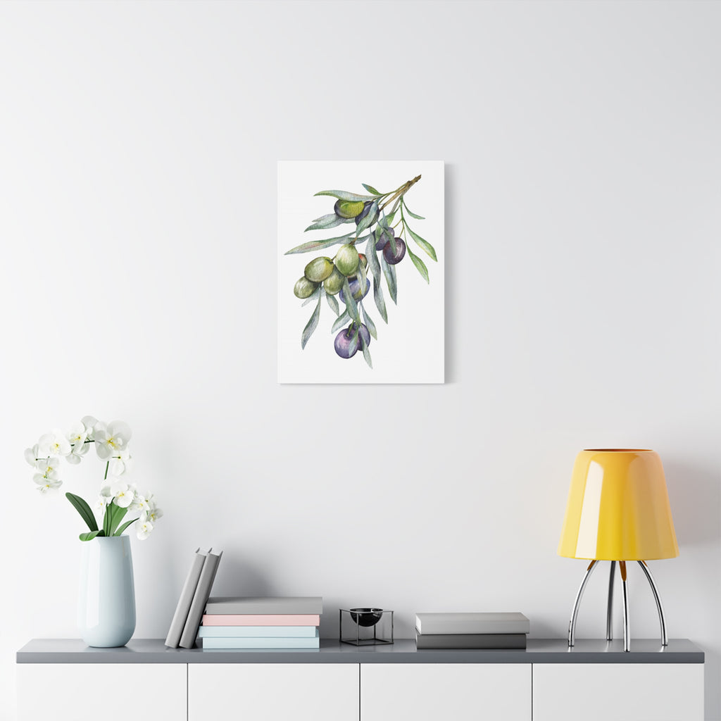 Olive Branch Watercolor Canvas Wall Art — Matte Stretched Canvas