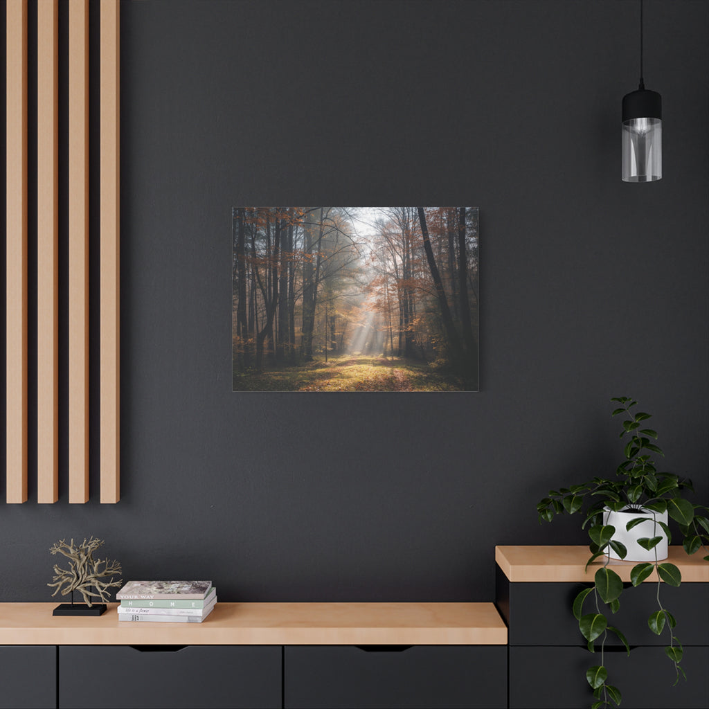Autumn Forest Canvas Wall Art — Matte Stretched