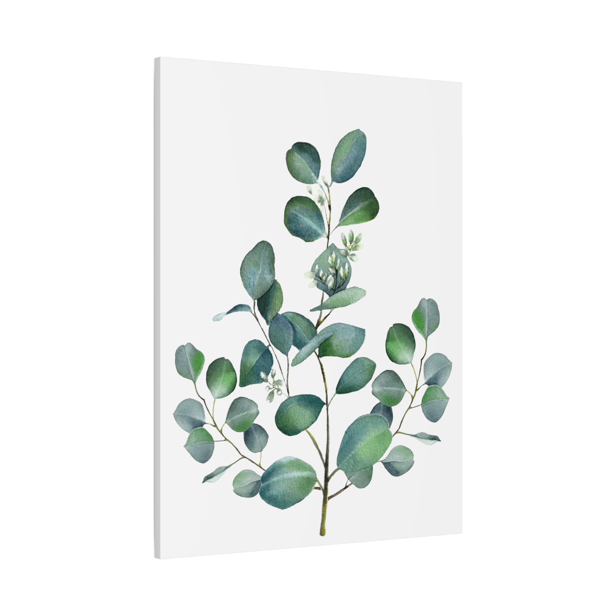 Eucalyptus Watercolor Canvas Print — Stretched Matte Wall Art
