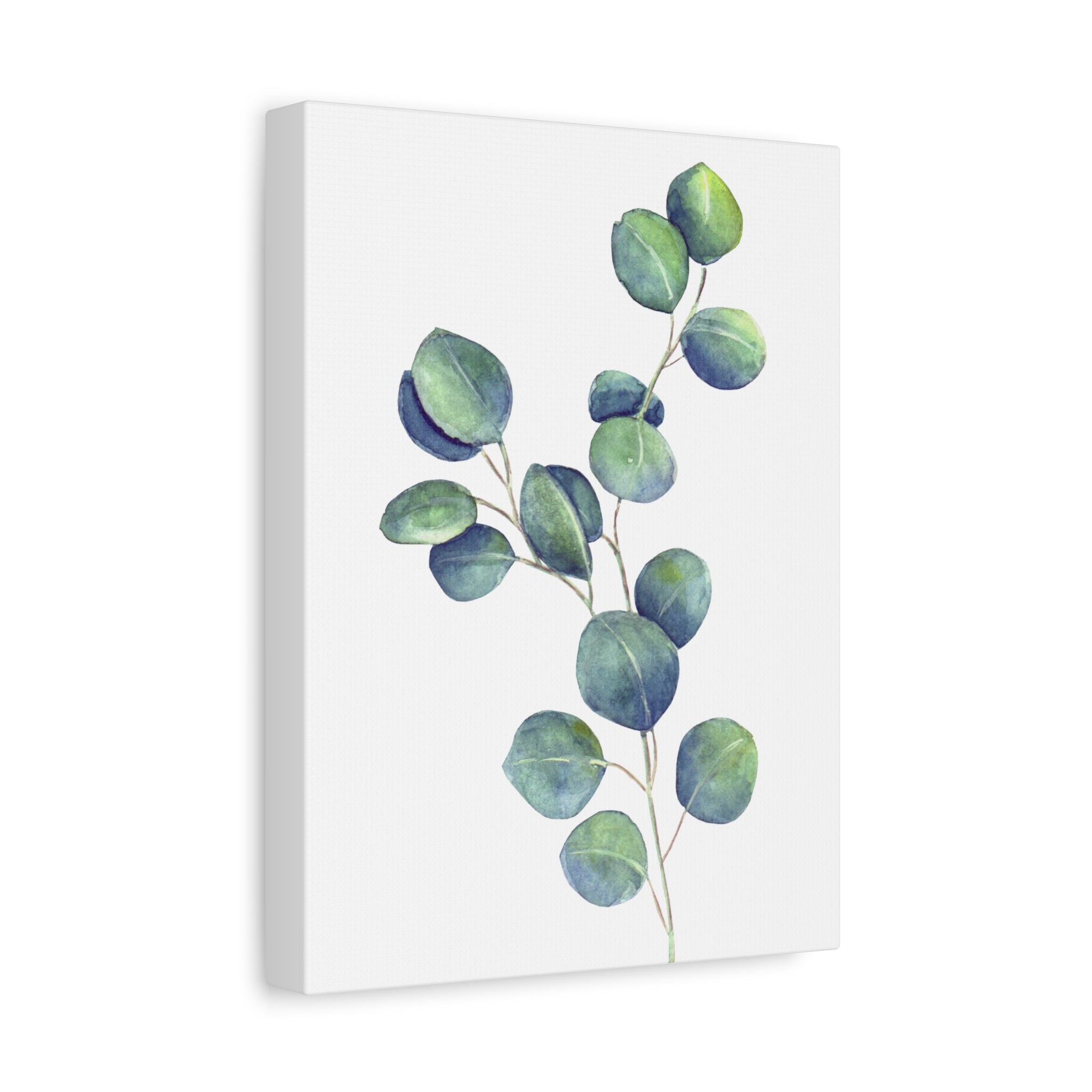 Eucalyptus Watercolor Canvas Print — Stretched Matte Wall Art