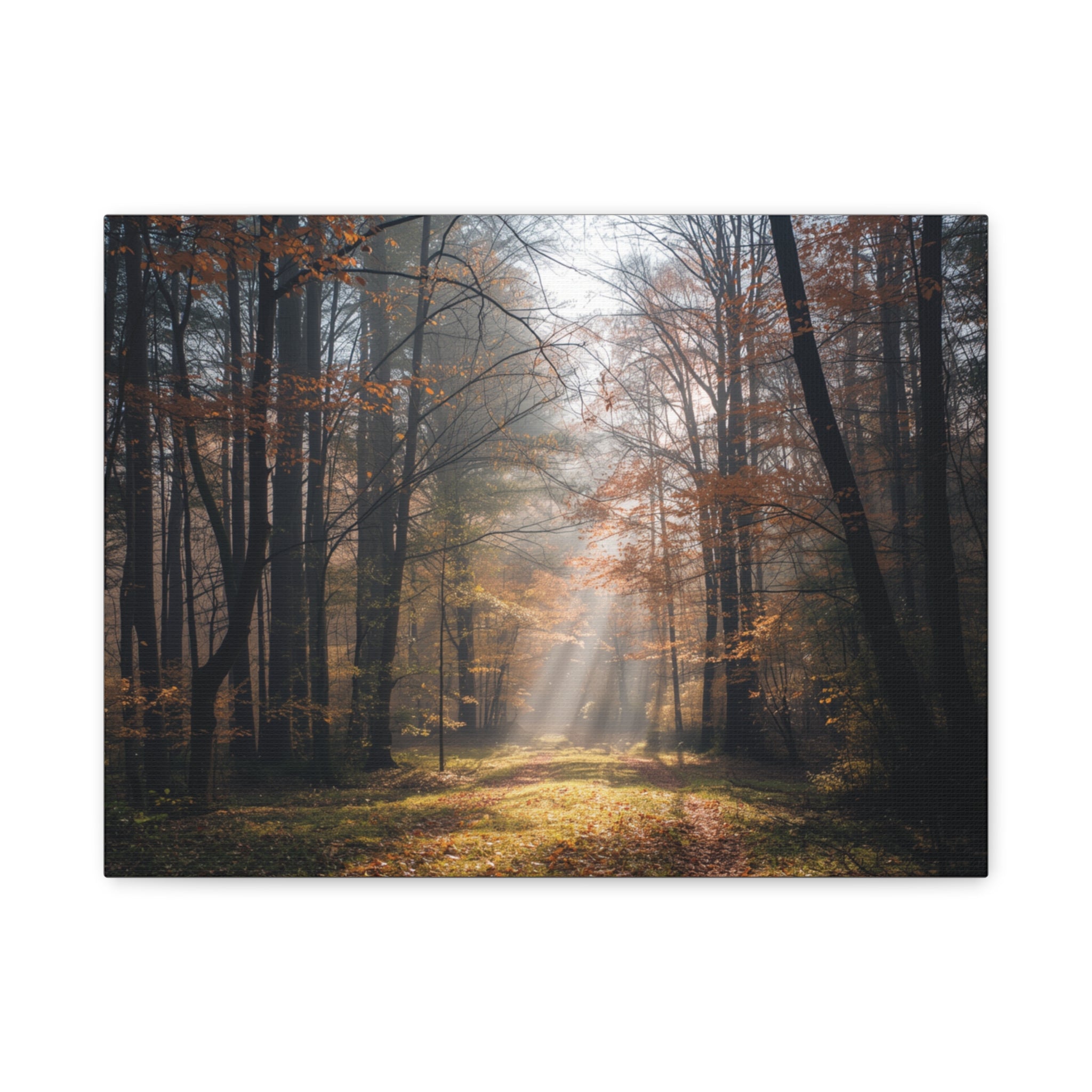 Autumn Forest Canvas Wall Art — Matte Stretched