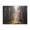 Autumn Forest Canvas Wall Art — Matte Stretched