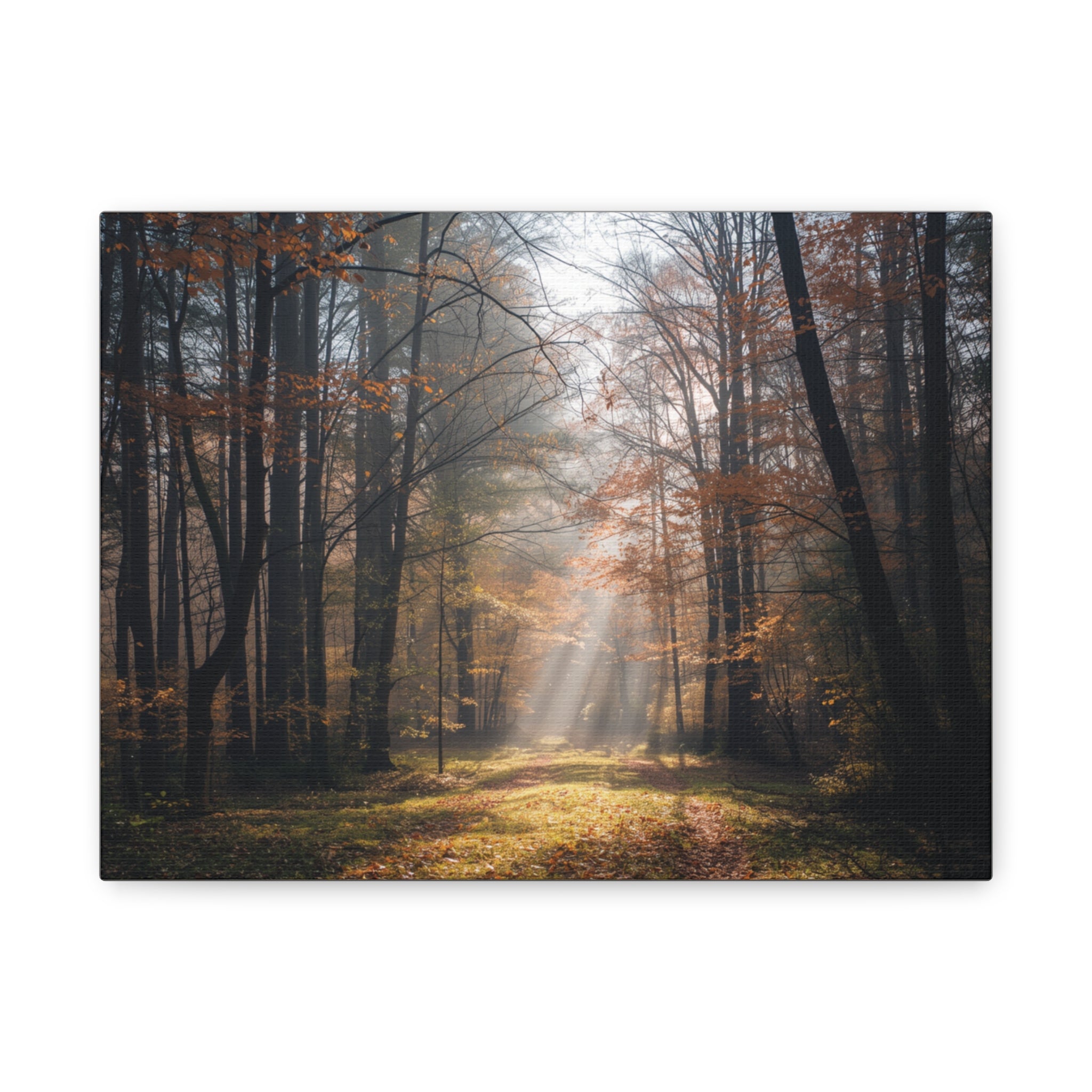 Autumn Forest Canvas Wall Art — Matte Stretched