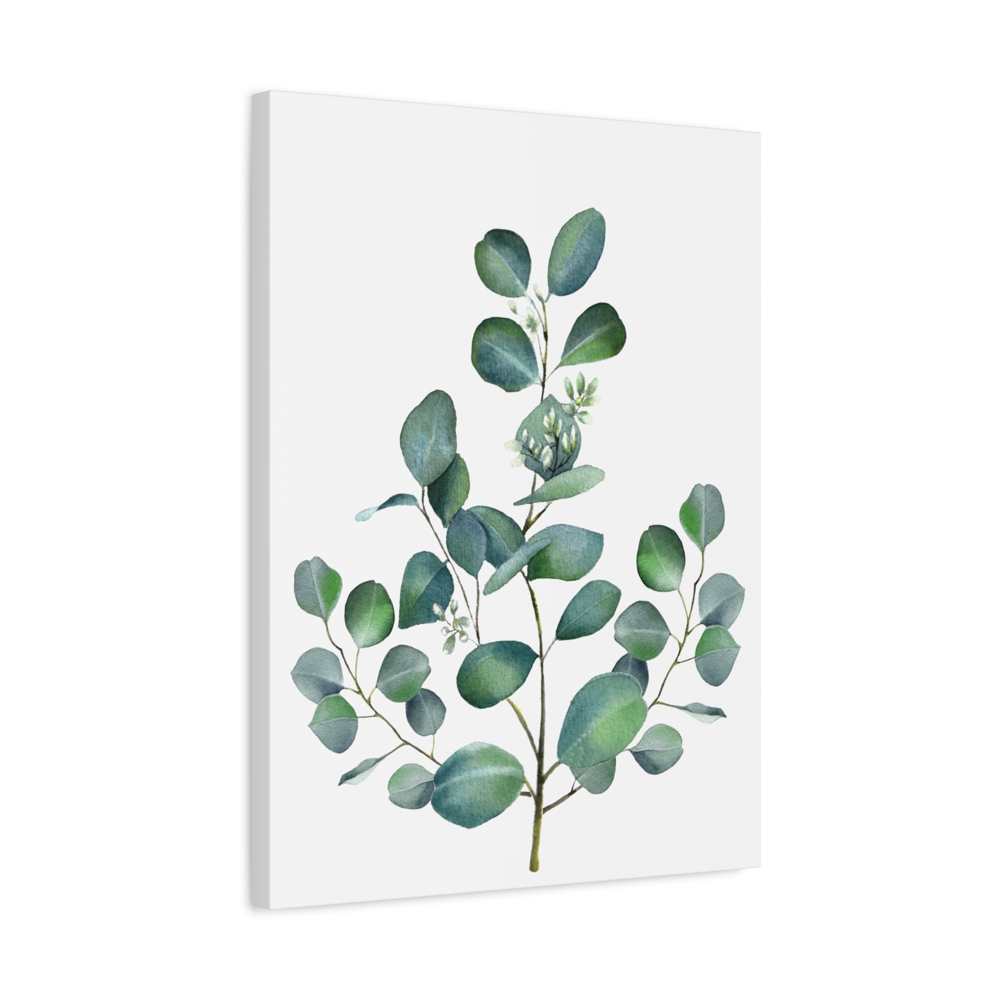 Eucalyptus Watercolor Canvas Print — Stretched Matte Wall Art