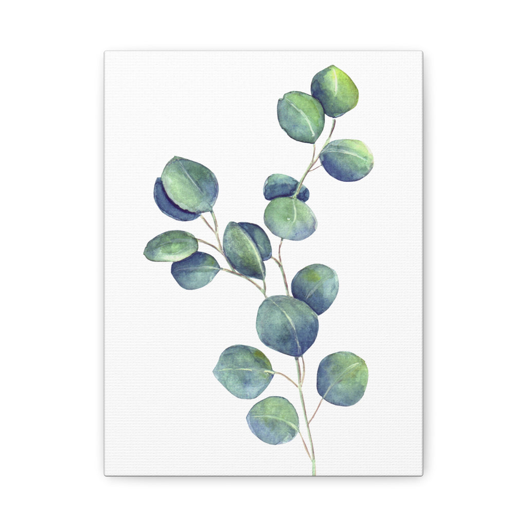 Eucalyptus Watercolor Canvas Print — Stretched Matte Wall Art