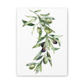 Olive Branch Canvas Wall Art — Matte Stretched Canvas