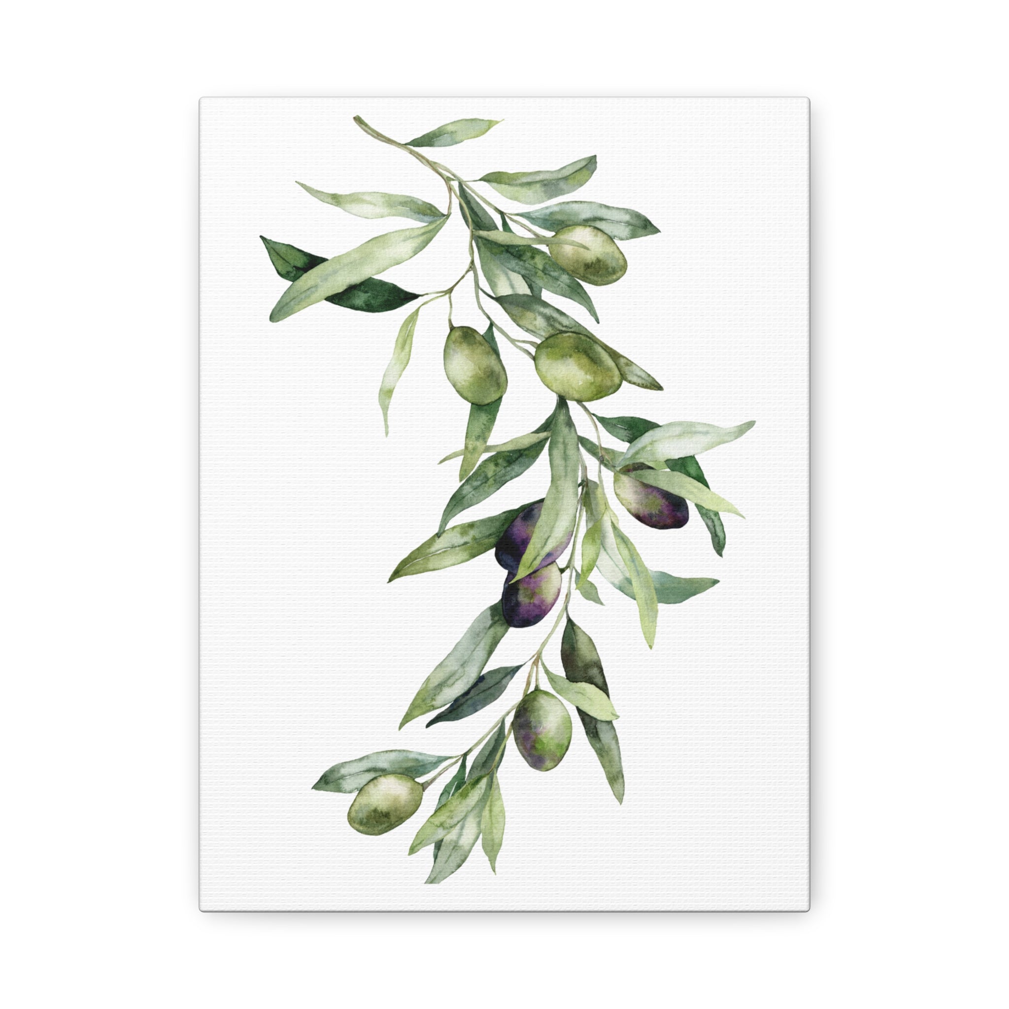 Olive Branch Canvas Wall Art — Matte Stretched Canvas