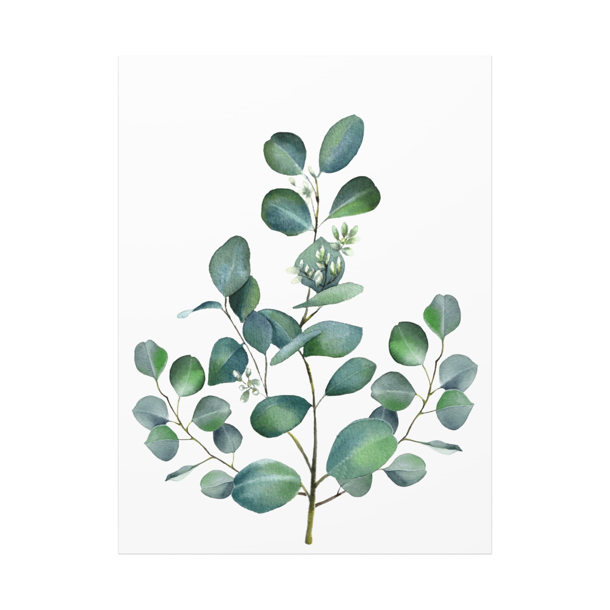 Eucalyptus Watercolor Canvas Print — Stretched Matte Wall Art