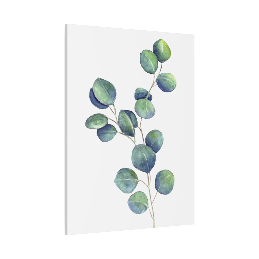 Eucalyptus Watercolor Canvas Print — Stretched Matte Wall Art