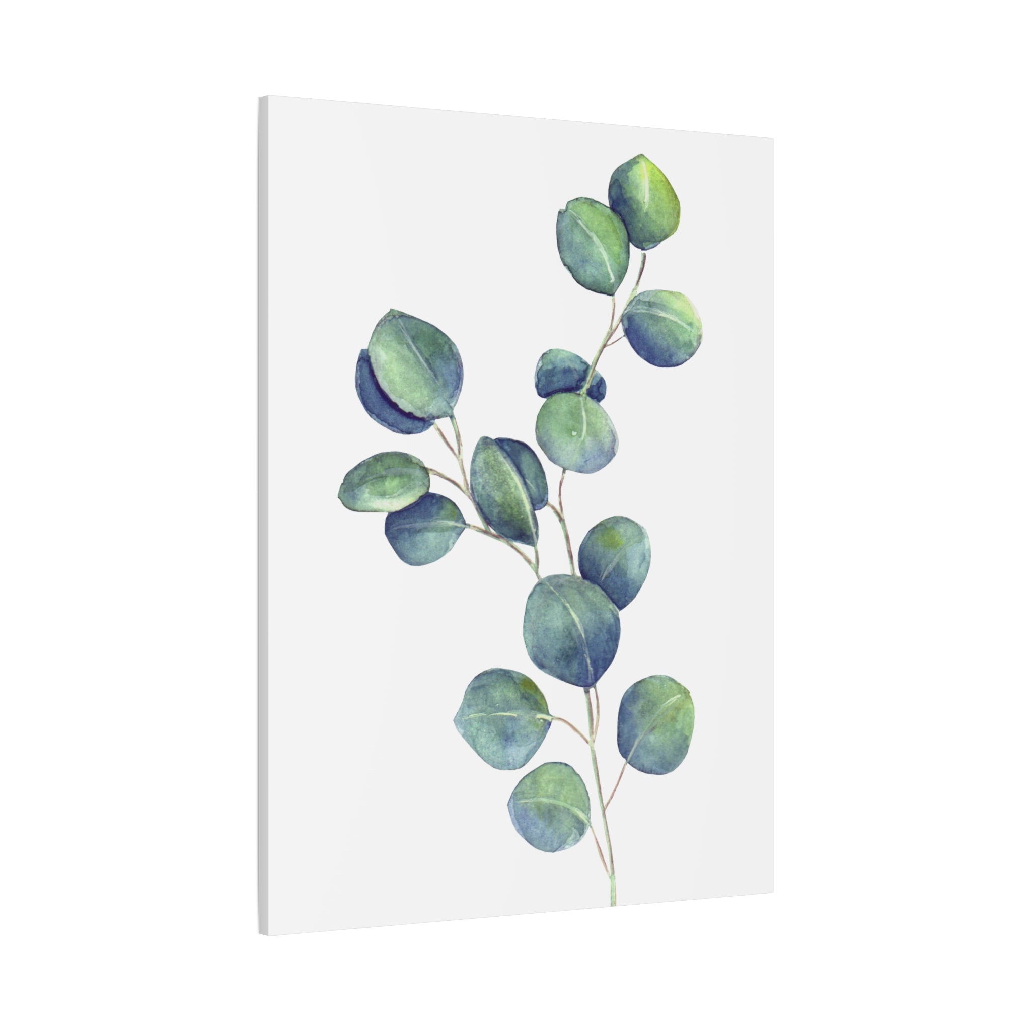 Eucalyptus Watercolor Canvas Print — Stretched Matte Wall Art