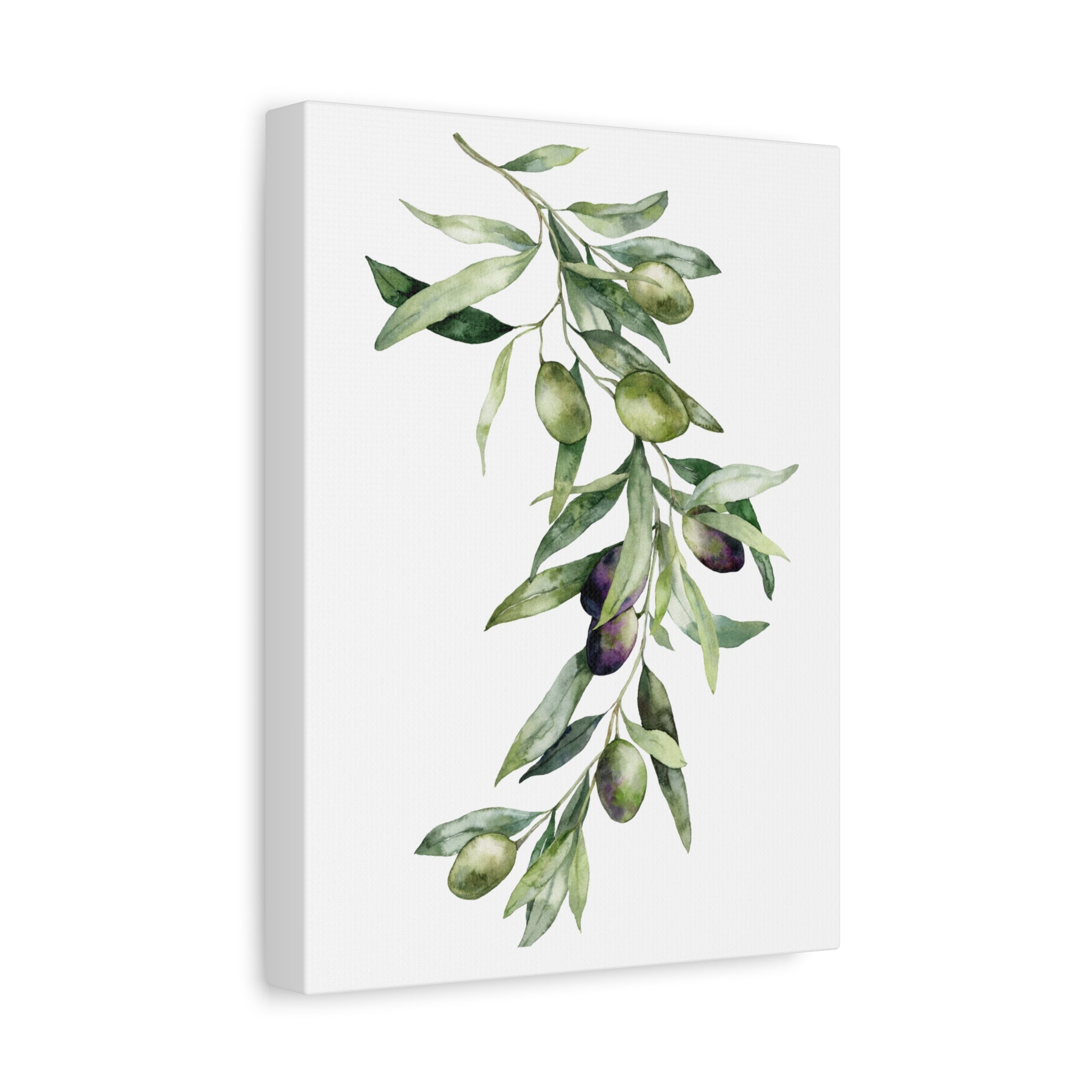 Olive Branch Canvas Wall Art — Matte Stretched Canvas