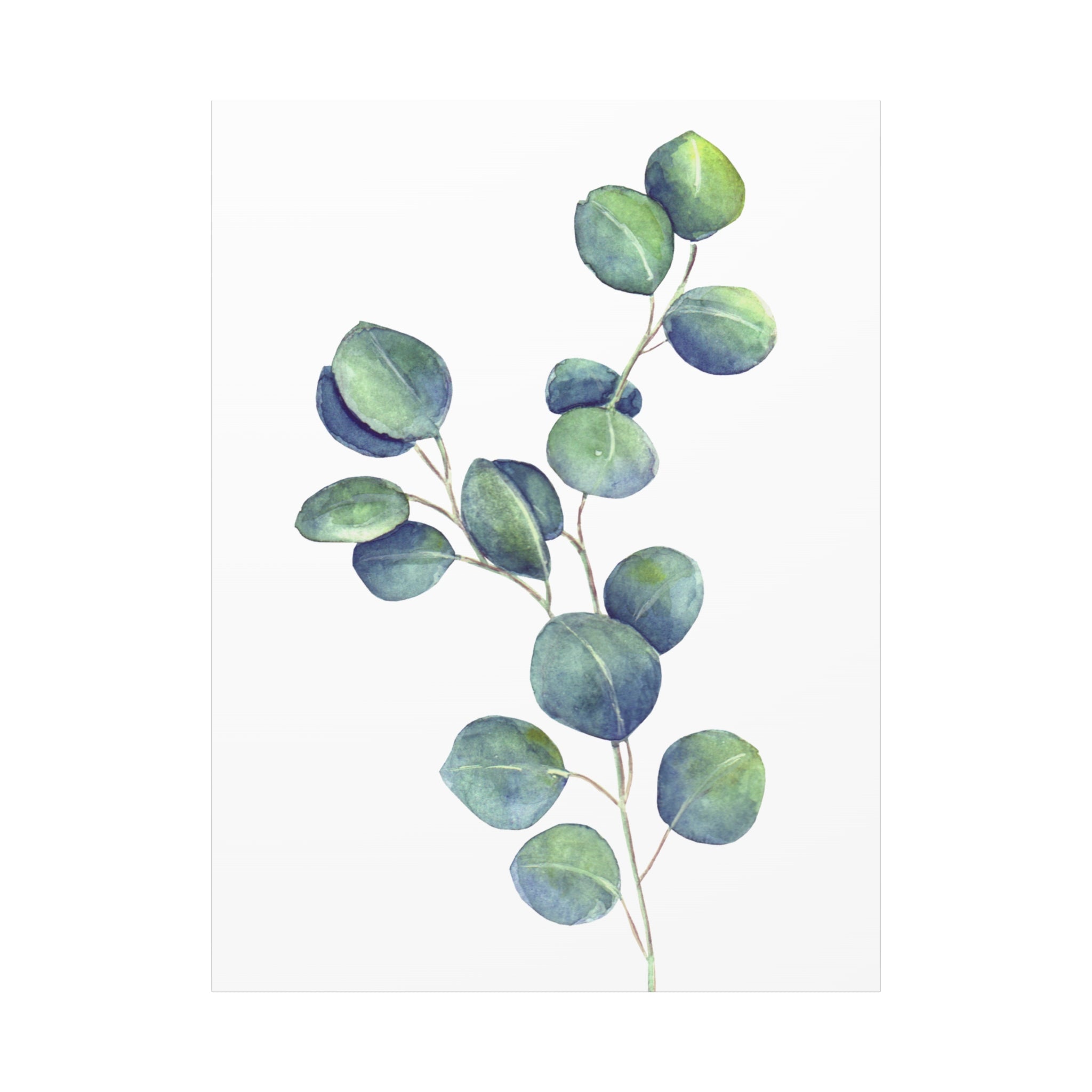 Eucalyptus Watercolor Canvas Print — Stretched Matte Wall Art