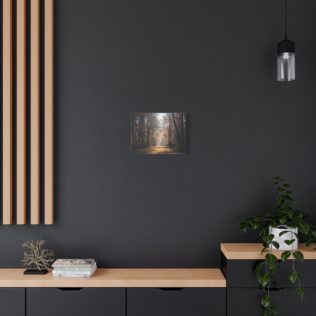 Autumn Forest Canvas Wall Art — Matte Stretched