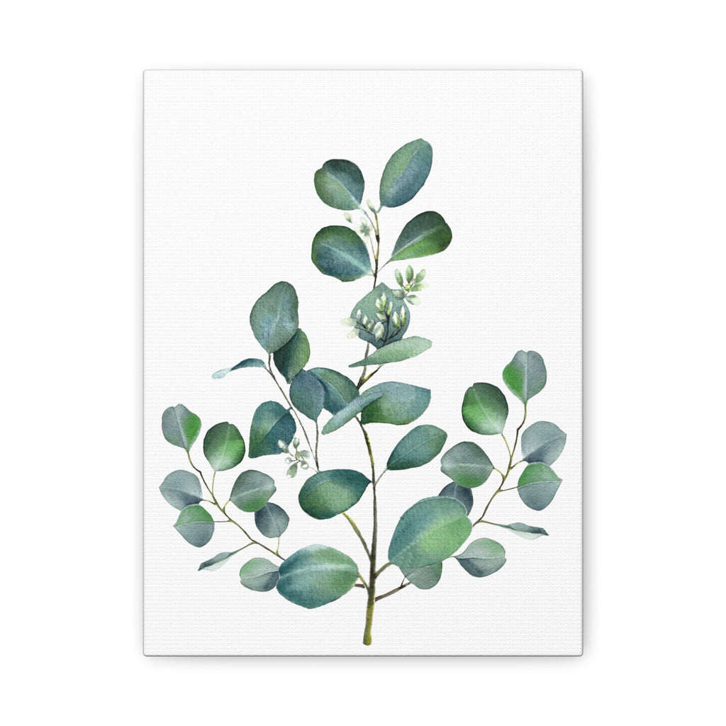 Eucalyptus Watercolor Canvas Print — Stretched Matte Wall Art