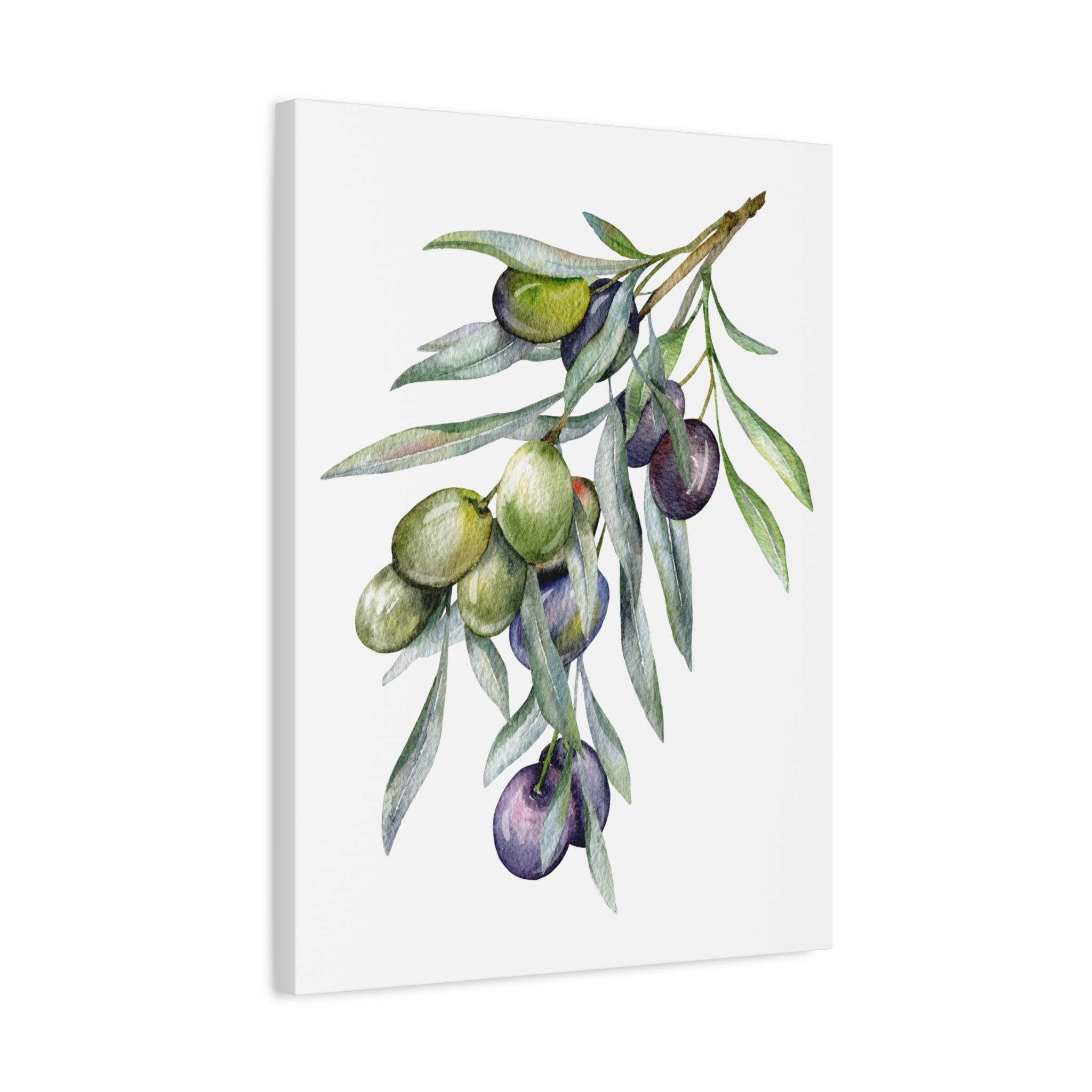 Olive Branch Watercolor Canvas Wall Art — Matte Stretched Canvas